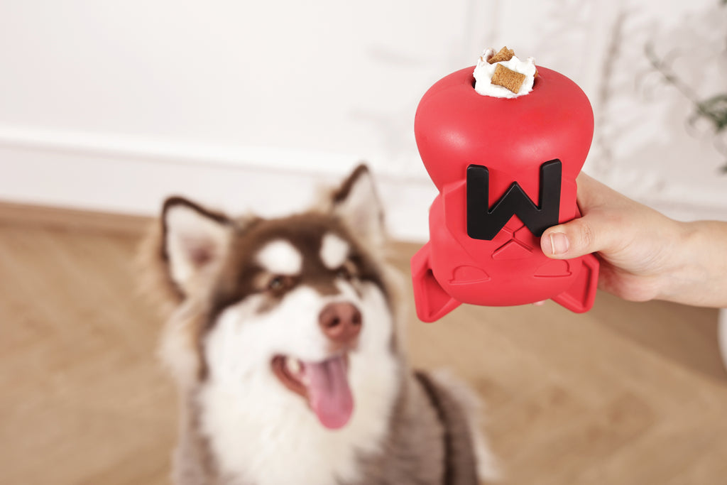 POWER CHEW Dog toy Ruby