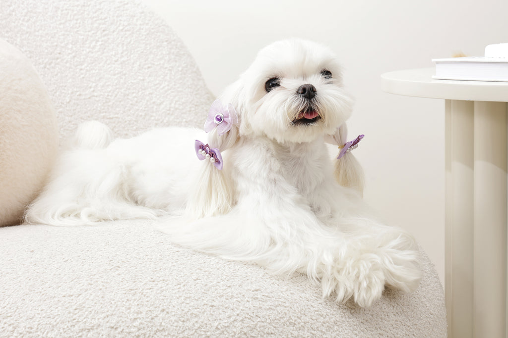 GLAM Accessori per capelli per animali elastico - Viola