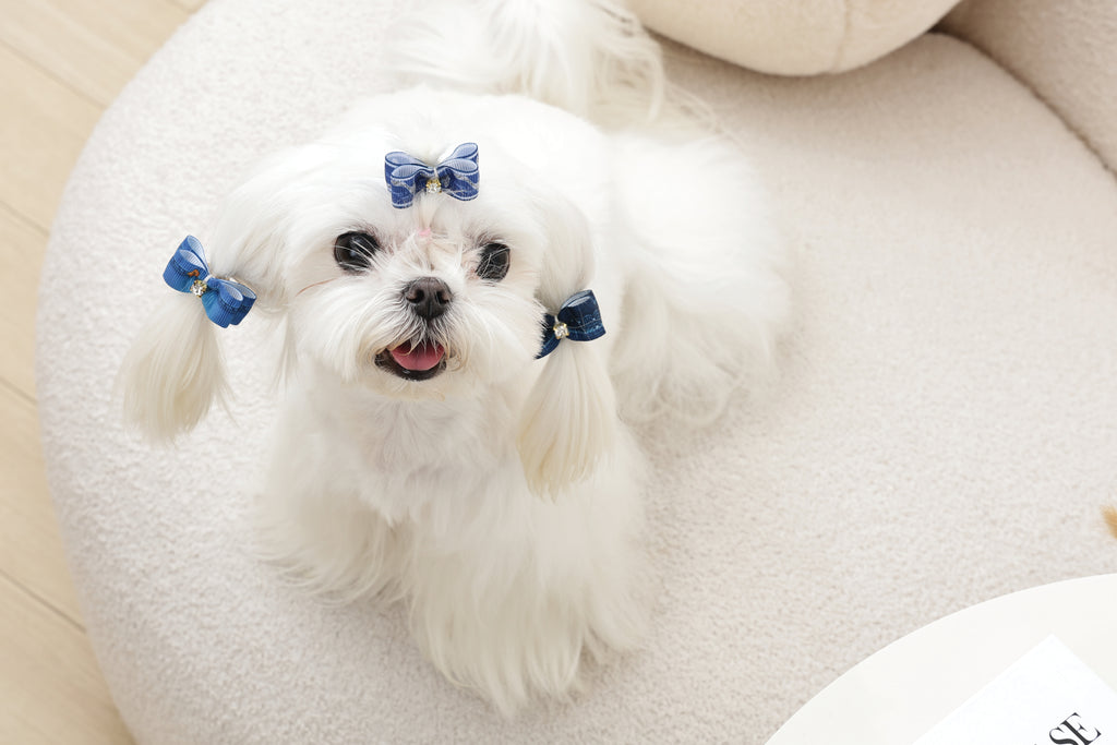 GLAM Accessori per capelli per animali elastico - Blu