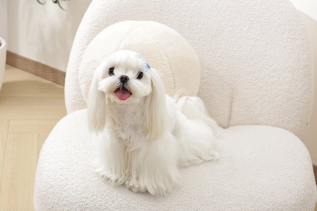 GLAM Accessori per capelli per animali clip - Blu