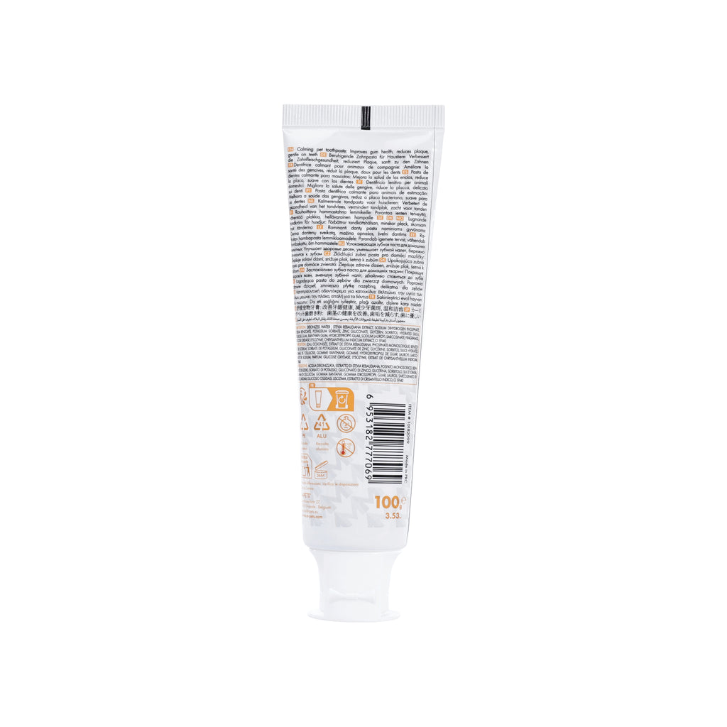DENTAL CARE PRO Calming toothpaste HONEY&CHAMOMILE