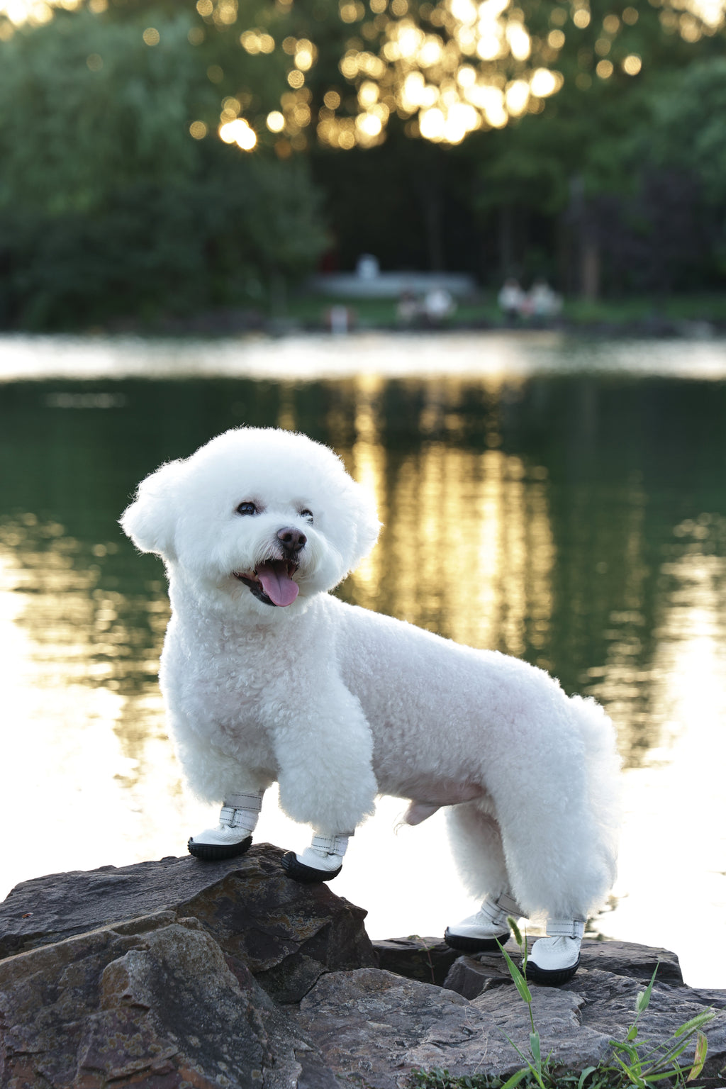 FLEXI SHOES Dog - White edition
