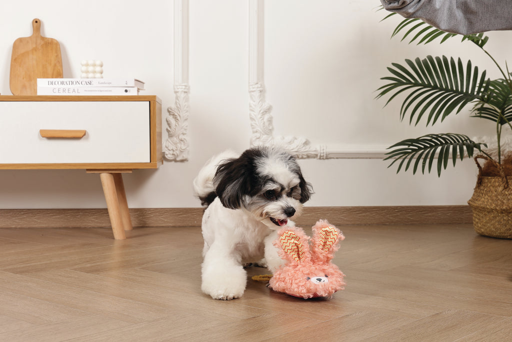 Slippers Dog toy Bunny