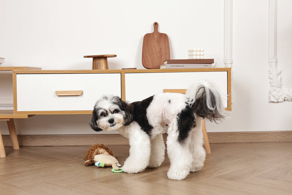 Slippers Dog toy Monkey