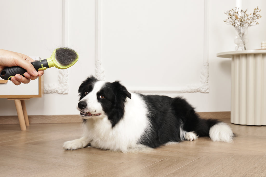 CLICK and GROOM Slicker Brush