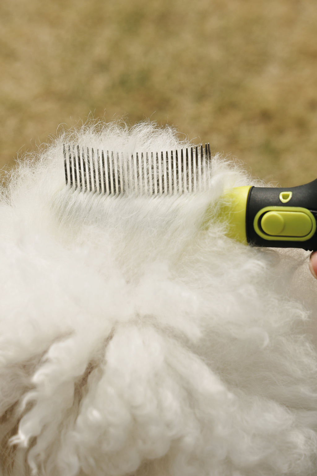 CLICK AND GROOM Curved brush