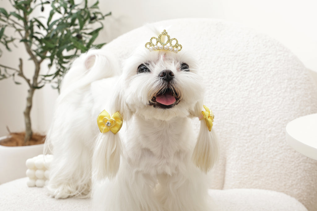 GLAM Accessori per capelli per animali clip e elastico - Giallo