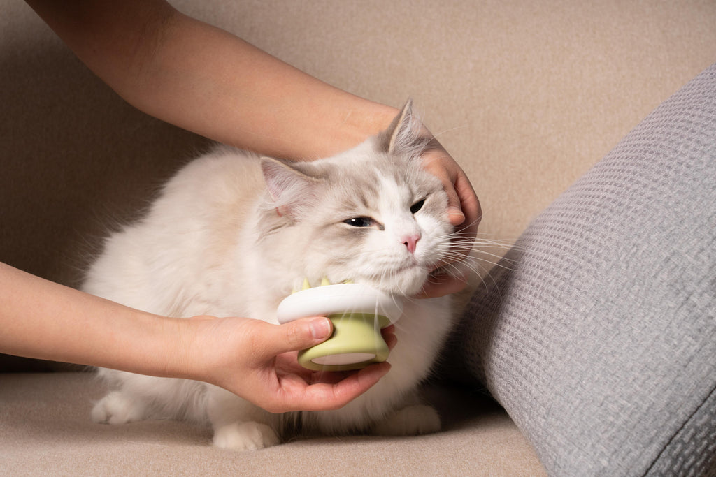 Pettine Morbido per Massaggi Delicati - Denti Affilati Verde