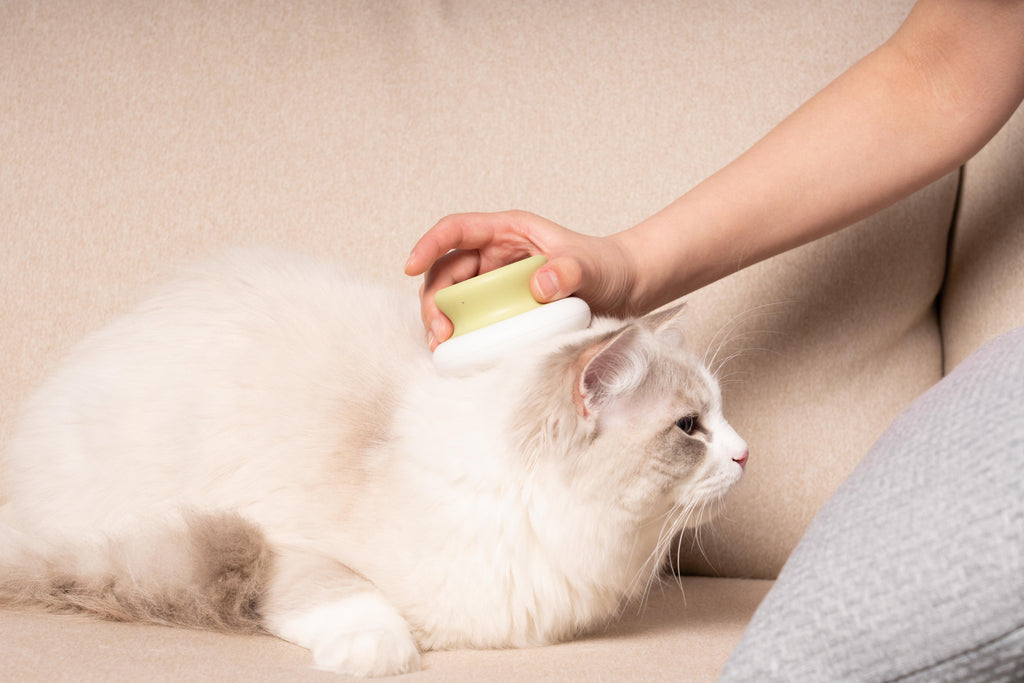 Pettine Morbido per Massaggi Delicati - Denti Affilati Verde