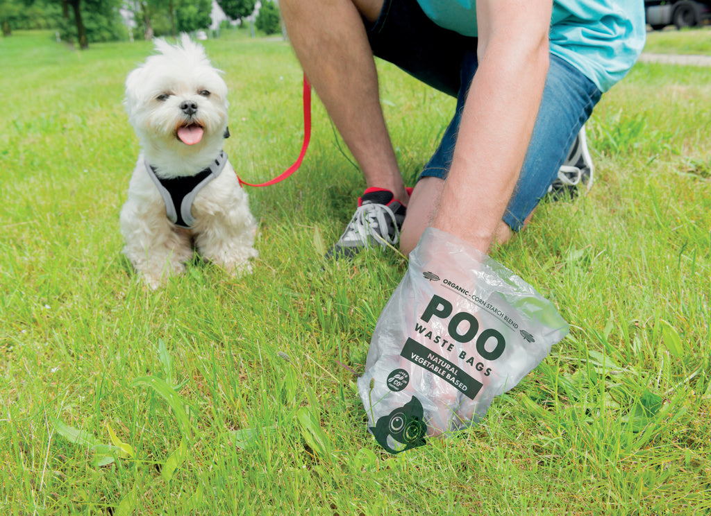 Borse per rifiuti di cane POO - A base vegetale - Profumo di menta (60 borse)