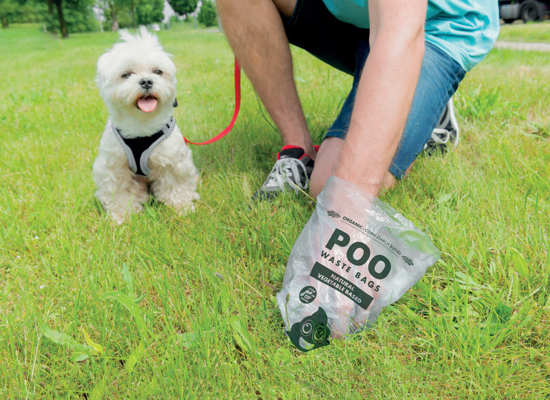 Borse per rifiuti di cane POO - A base vegetale - Profumo di menta (60 borse)