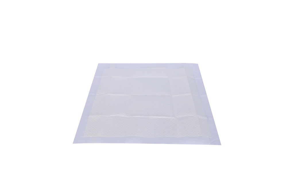 Eeasy Fix Training Pads 60 x 60 cm - 30 pz