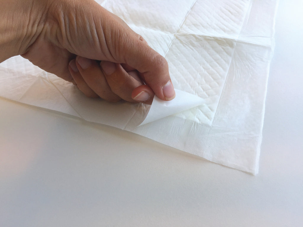 Eeasy Fix Training Pads 90 x 60 cm - 30 pz