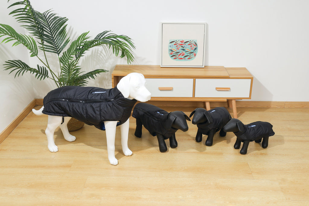 GENTLE DOG Giacca Invernale Nero&Blu
