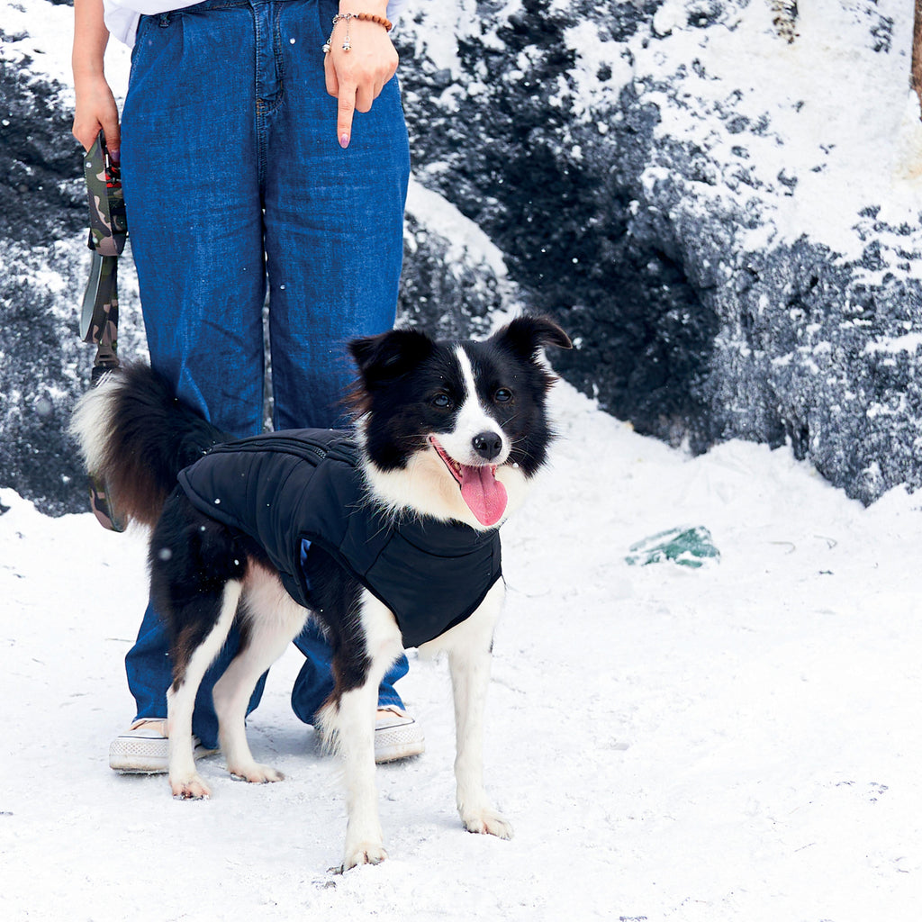GENTLE DOG Giacca Invernale Nero&Blu