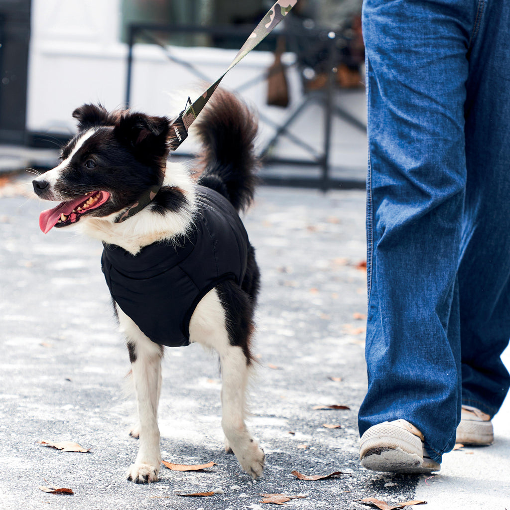GENTLE DOG Giacca Invernale Nero&Blu