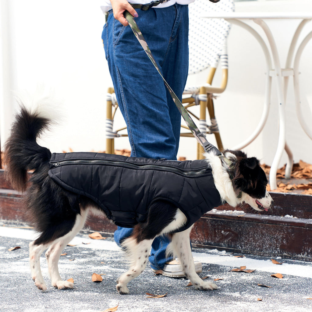 GENTLE DOG Giacca Invernale Nero&Blu