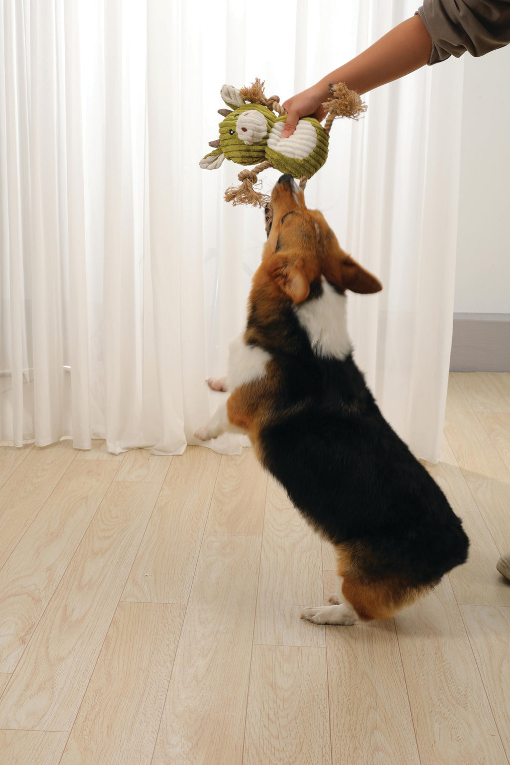Rosie ECO Giocattolo per Cani