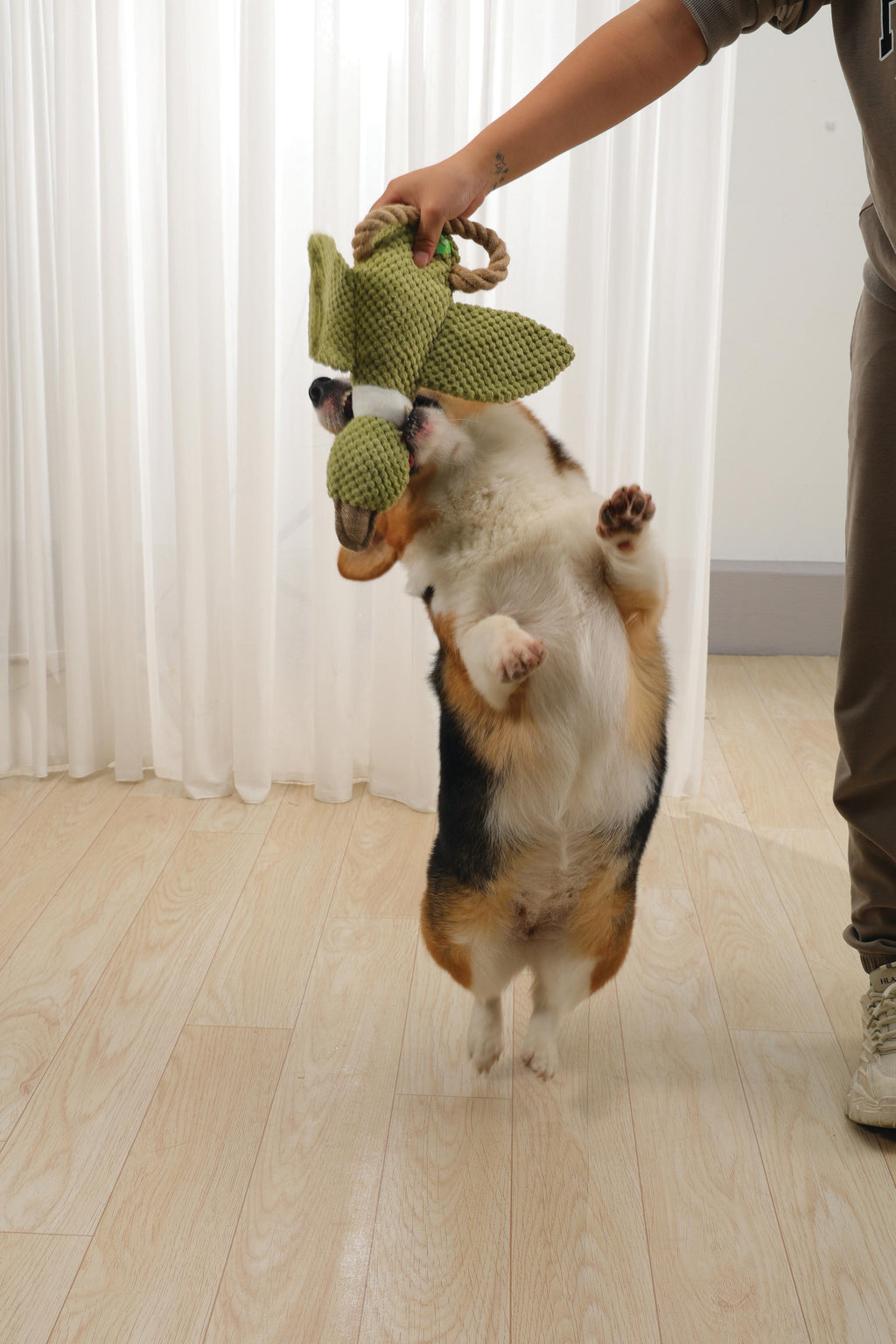 Giocattolo per Cani Buck ECO