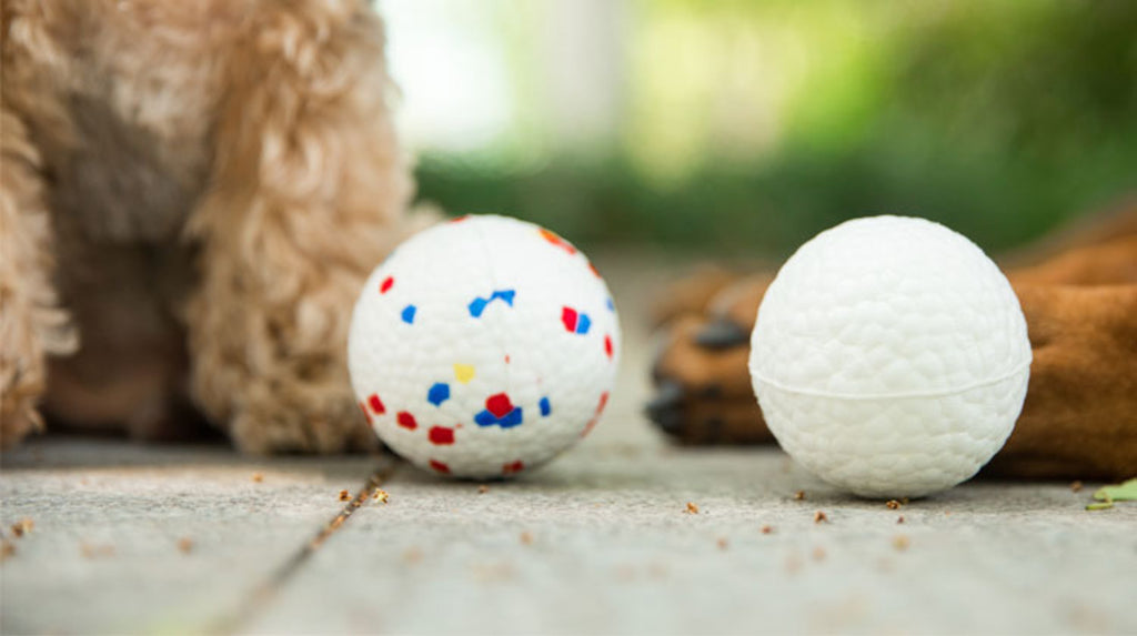 BLOOM BALL - Colore misto