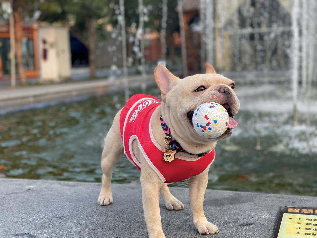BLOOM BALL - Colore misto