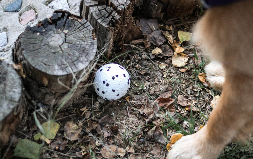BLOOM BALL - Bianco e Nero