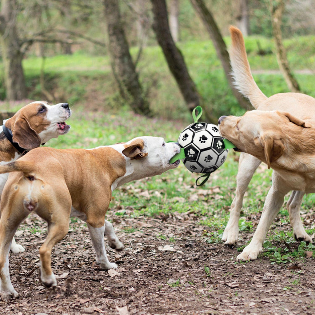 PALLONE da CALCIO