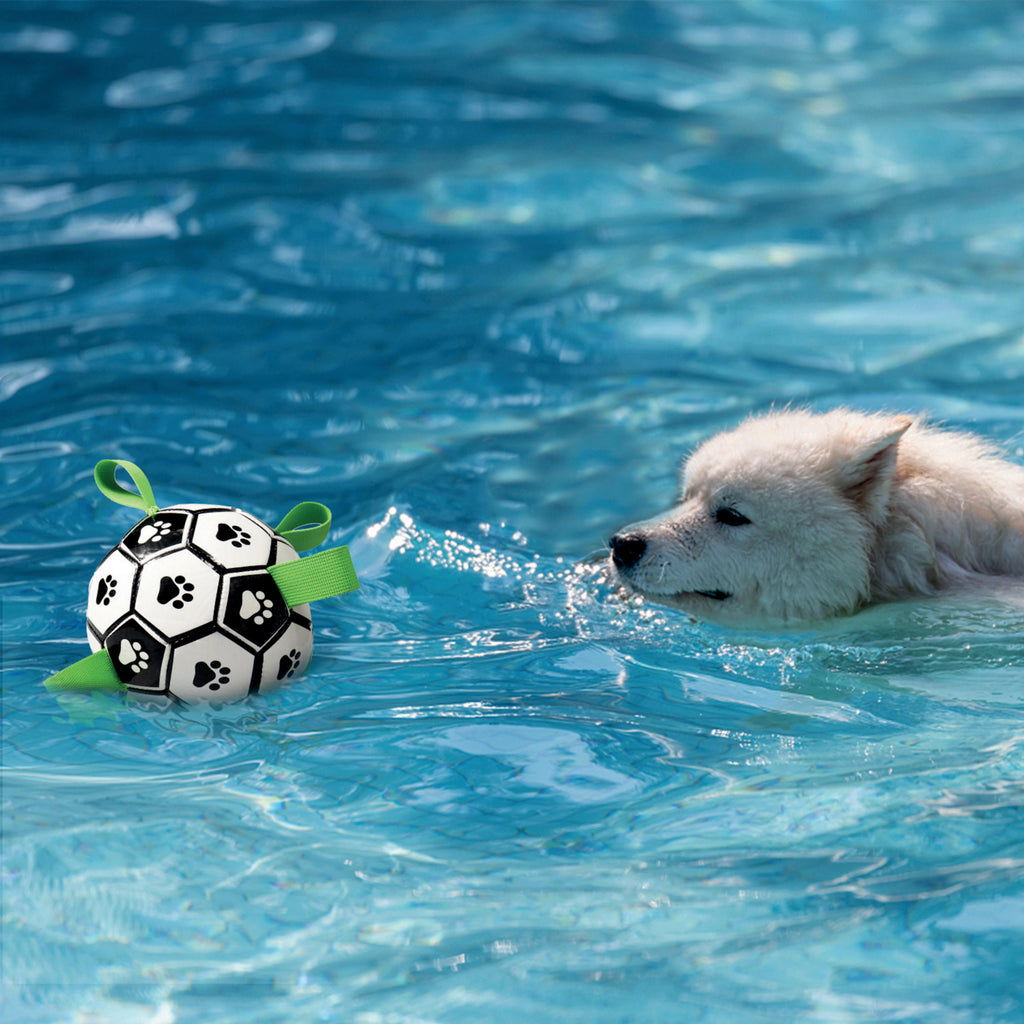 PALLONE da CALCIO