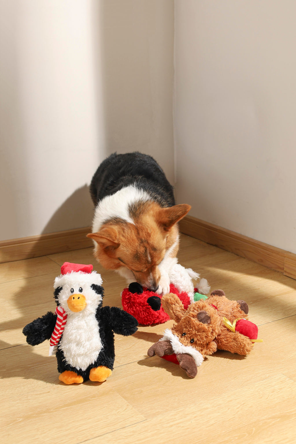 GIOCATTOLO PER CANI NATALIZIO - BLIZ