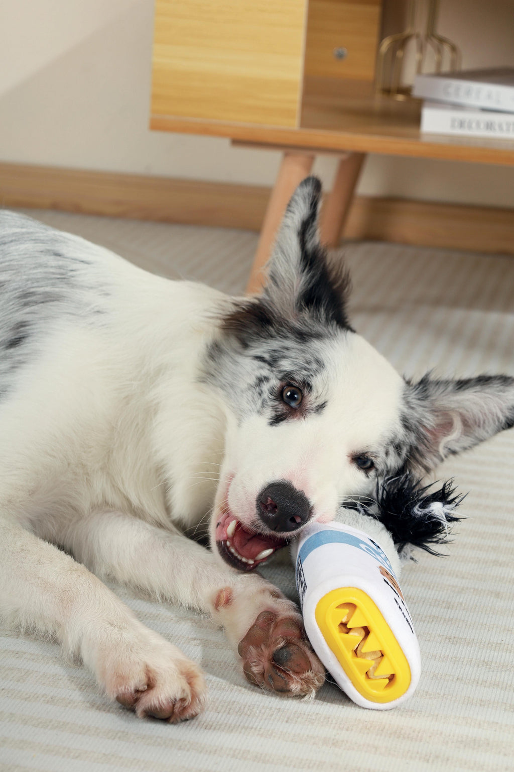 Distributore di cibo Snack Attack giocattolo per cani - FLORA