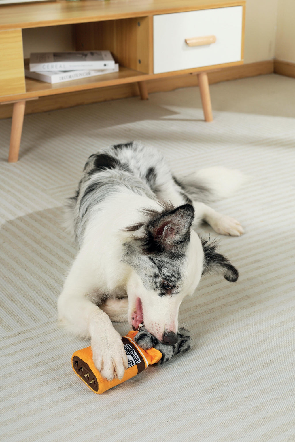 Distributore di cibo Snack Attack giocattolo per cani - ARTIE