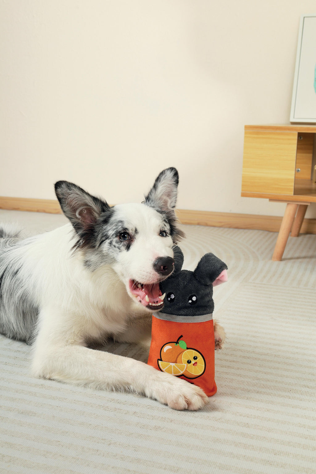 Distributore di cibo Snack Attack giocattolo per cani - OSCAR