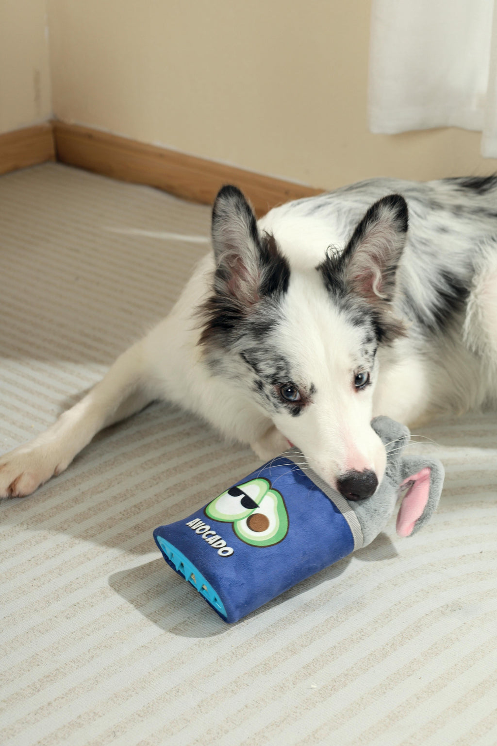 Distributore di cibo Snack Attack giocattolo per cani - ROGER