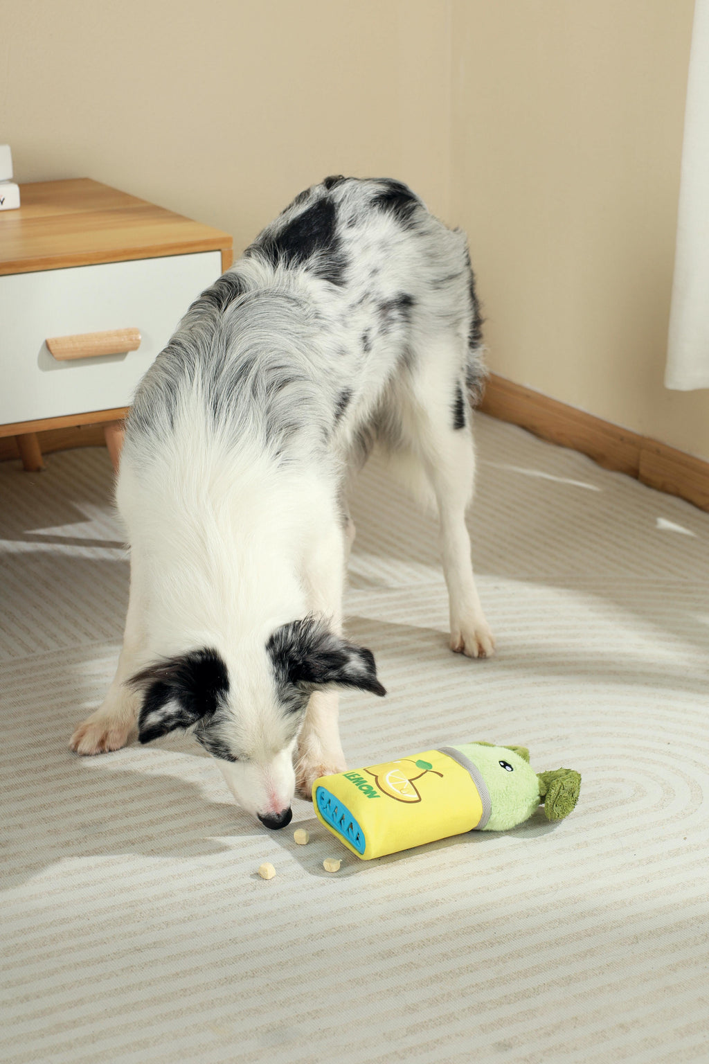 Distributore di cibo Snack Attack giocattolo per cani - TREVOR
