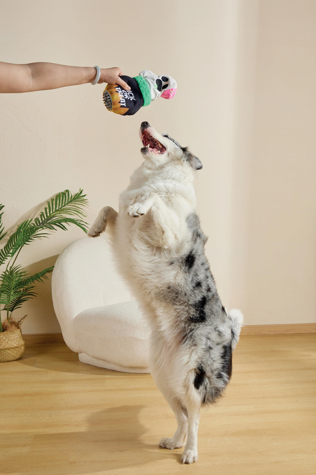 Giocattolo per cani Halloween Snack Attack - Fantasma