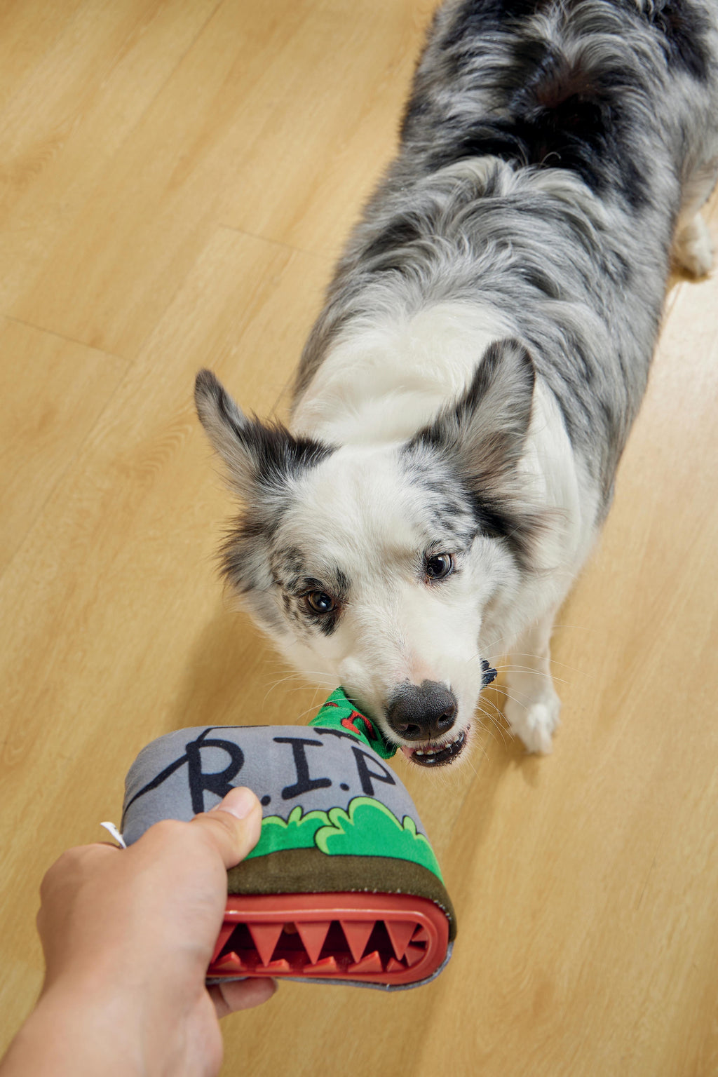 Giocattolo per Cani Halloween Snack Attack - Tomba
