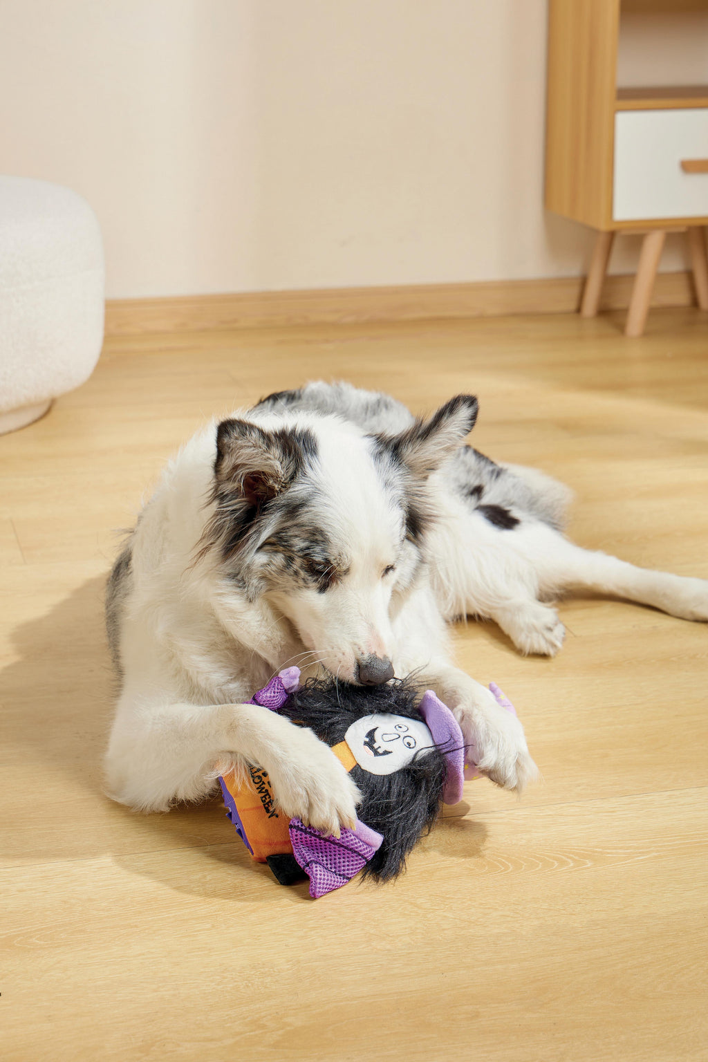 Giocattolo per Cani Halloween Snack Attack - Strega