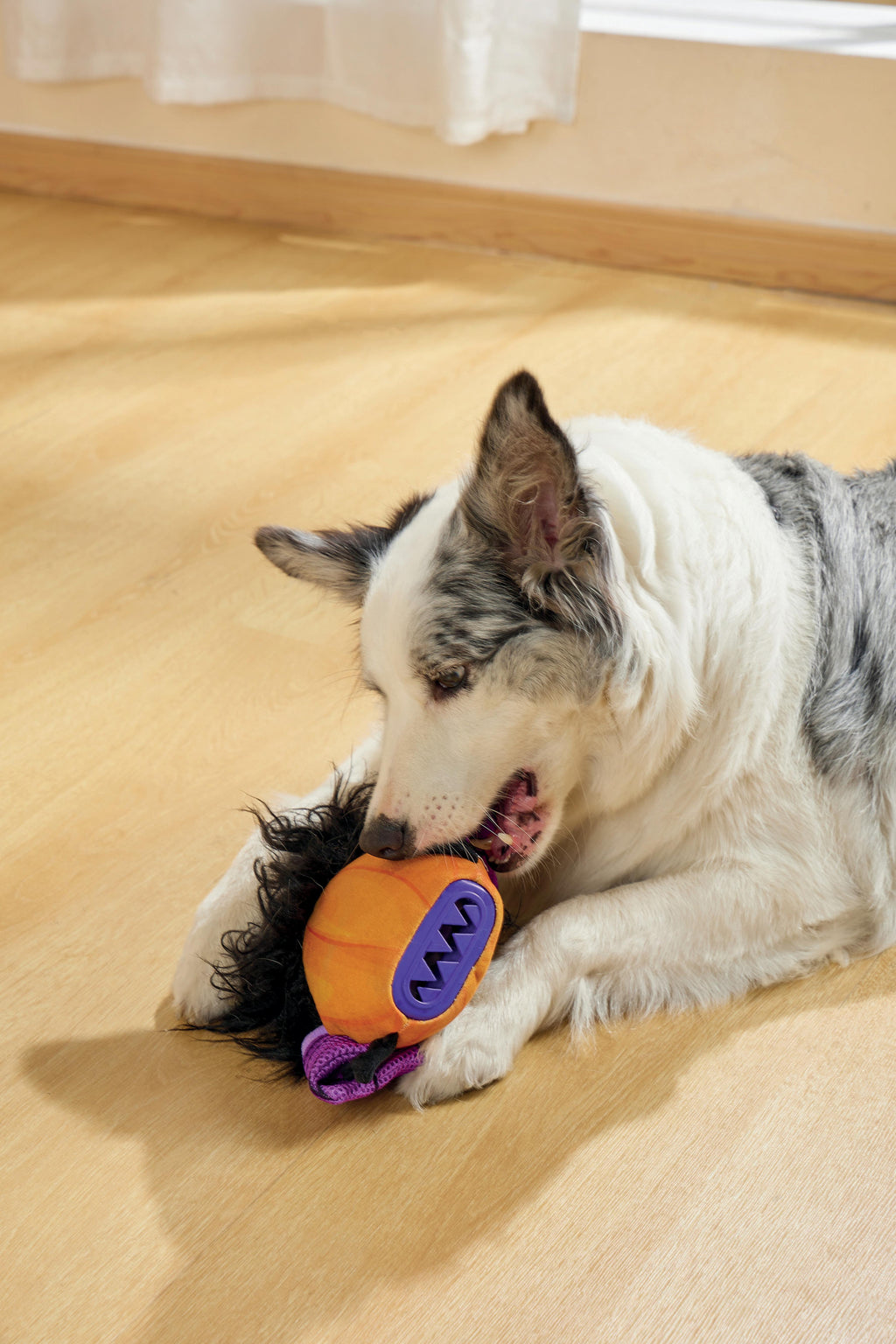 Giocattolo per Cani Halloween Snack Attack - Strega