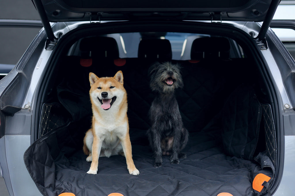 Copertura per Seggiolino Auto Convertible LUNGO