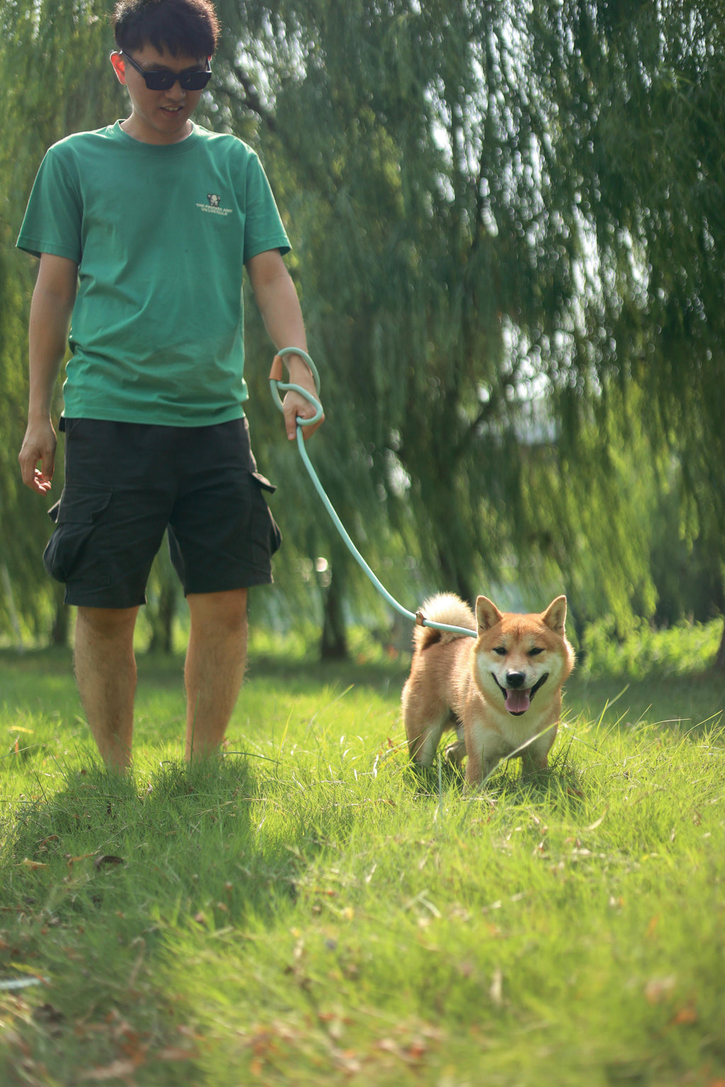 Guinzaglio e Collare ECO per Cani 2 in 1 Bianco