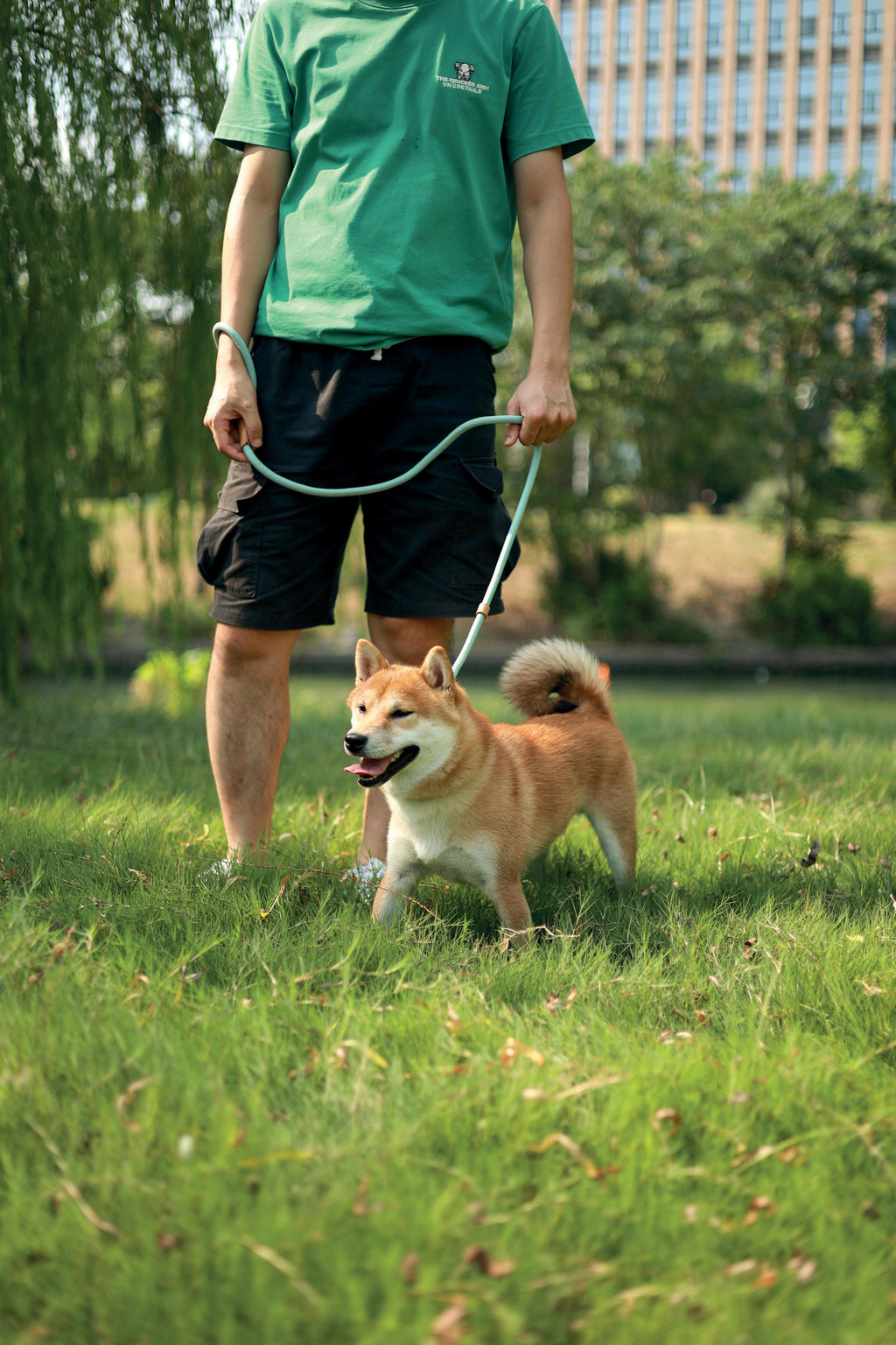 Guinzaglio e Collare ECO per Cani 2 in 1 Rosa