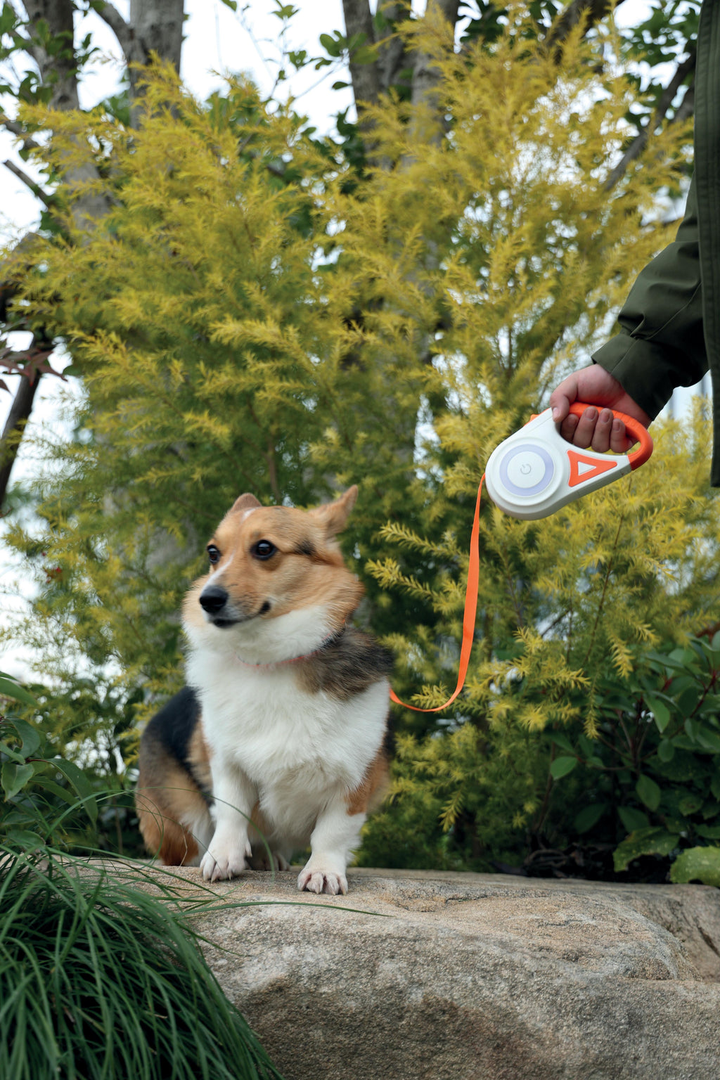 Guinzaglio Retrattile per Cani FLASH Arancione