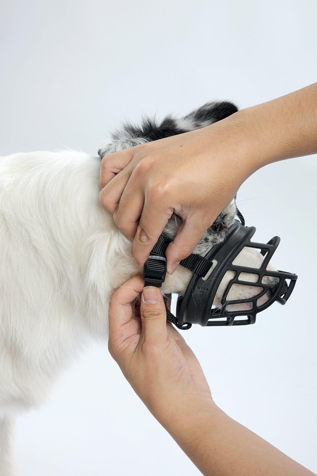 MUSERA BARK GUARD per Cani Nero e Blu