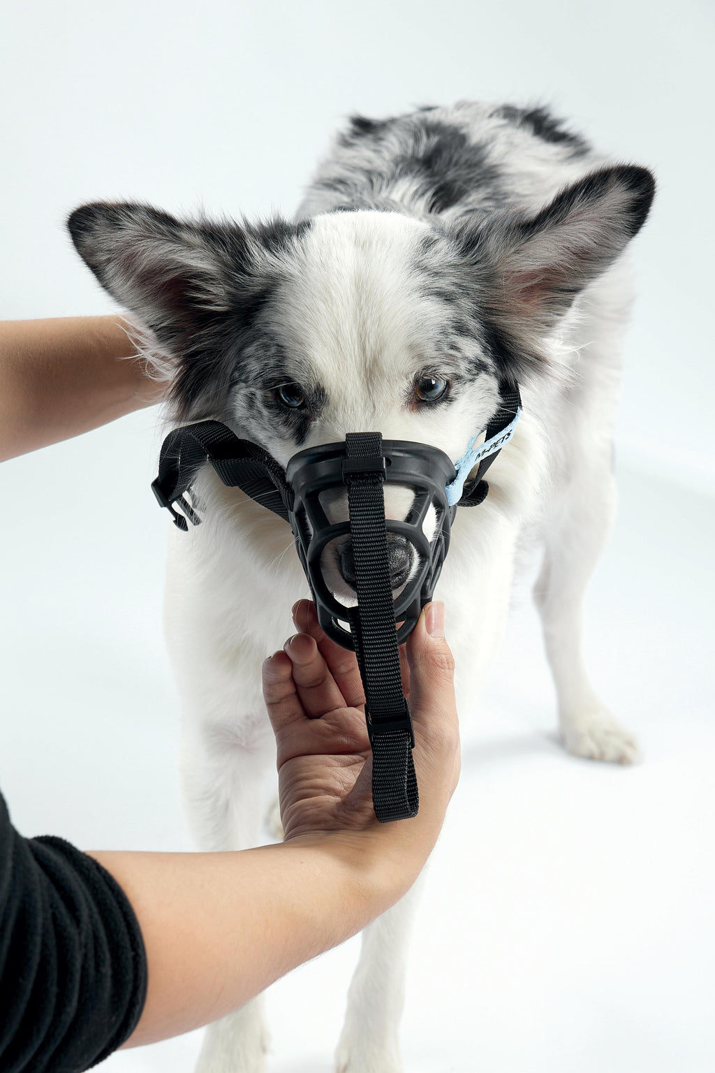 MUSERA BARK GUARD per Cani Nero e Blu