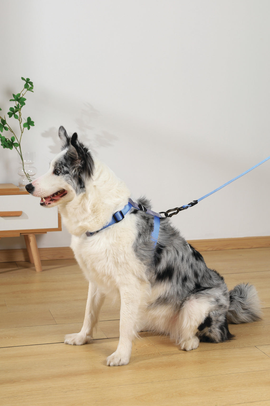 Imbracatura GENTLE DOG Blu