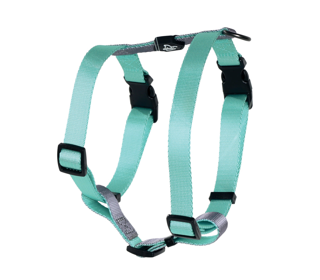 IMBRACATURA GENTILE PER CANE Verde
