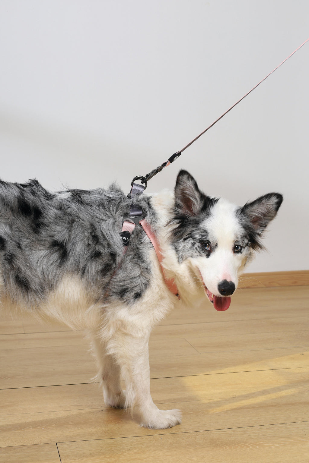 Pettorina triangolare GENTLE DOG rosa