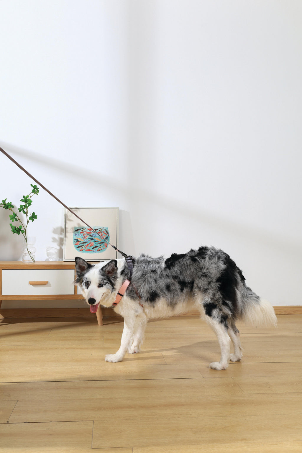 Pettorina triangolare GENTLE DOG rosa