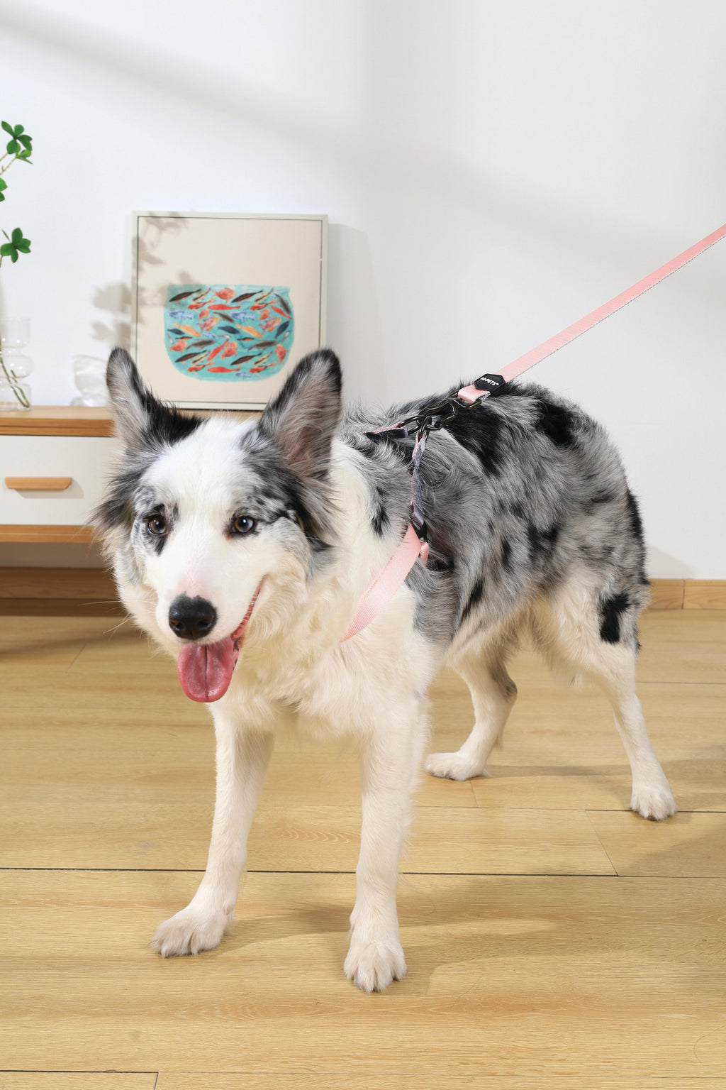 Pettorina triangolare GENTLE DOG rosa