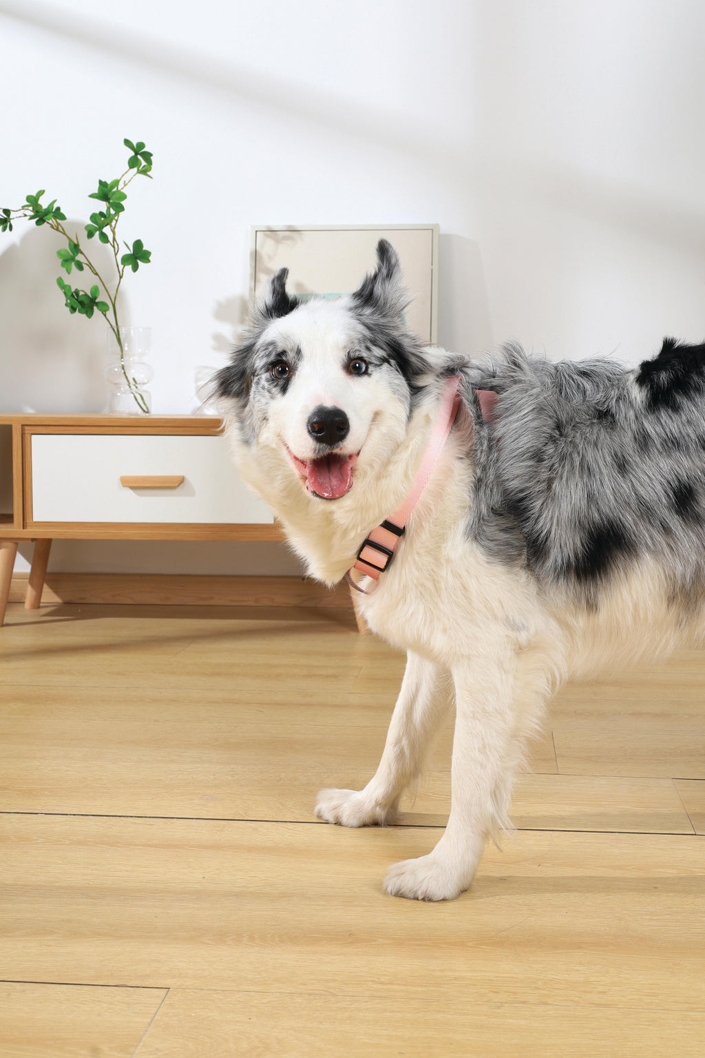 Pettorina triangolare GENTLE DOG rosa